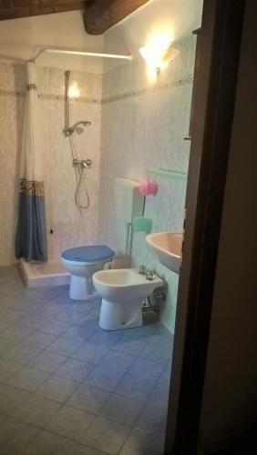 a bathroom with a toilet and a sink and a shower at Agriturismo di Rina in Lamporecchio