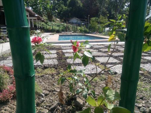 a garden with a swimming pool and a plant at Dahilig Resort in Puerto Galera