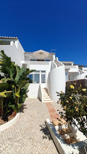 Casa 8