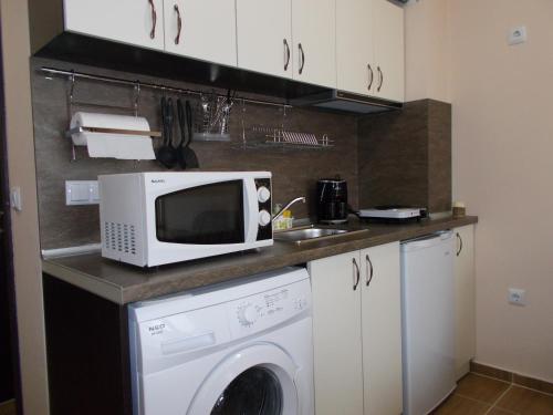 ポモリエにあるApartment Bliznaciのキッチン(洗濯機、電子レンジ付)