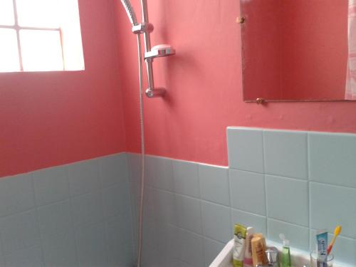 a shower in a bathroom with a red wall at Domaine Au charme des Plantes in Rennes