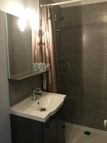 La salle de bains est pourvue d'un lavabo et d'une douche. dans l'établissement Résidence Champs Bouillant, à Soissons