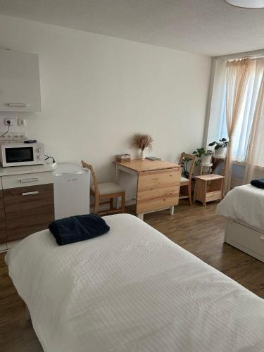 Zurich Hotel Studio