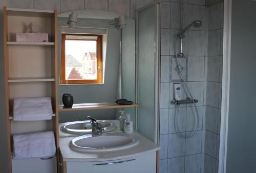 une salle de bain avec un lavabo et une douche dans l'établissement NaNa's, à Colmar