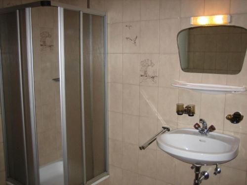 ein Bad mit einem Waschbecken und einer Dusche in der Unterkunft Funerhof in Innsbruck