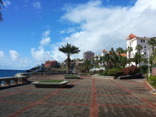 a walkway near the ocean with palm trees and buildings at Apartment Palma Madeira wandern und tauchen in Caniço