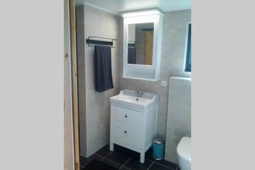 een badkamer met een witte wastafel en een spiegel bij Vakantiehuisje met bedstee in Diever