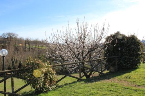 a wooden fence with flowers on it in a field at Fattoria di Rigone in Coltavolino