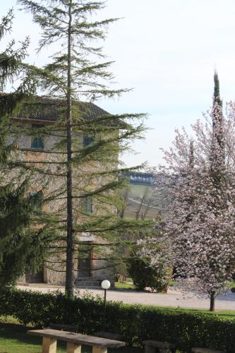 a building with trees and a bench in front of it at Fattoria di Rigone in Coltavolino