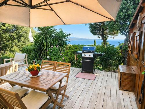 charmant chalet studio, climatisé , vue mer avec grande terrasse