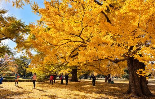 -笹塚戸建-8-minute walk to Sasazuka Station!5 minutes to Shinjuku Station with no train changes