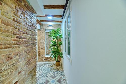 Tree Plaza Suites by Invalencia