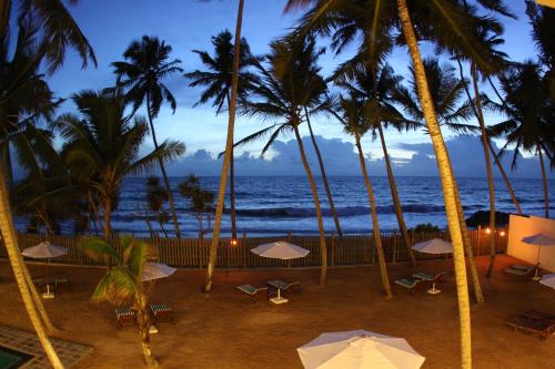 a beach with palm trees and the ocean at night at Oasis Ayurveda Beach Hotel in Ambalangoda