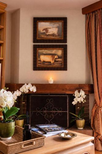 Cozy Chalet Apartment With Mountain Scenery