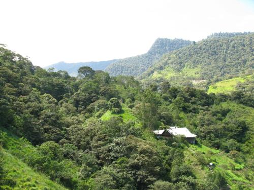 Paisaje cerca de este hotel