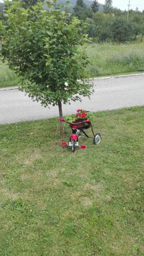 a cart parked next to a tree on the side of a road at Guest House Adrijana in Seliste Dreznicko