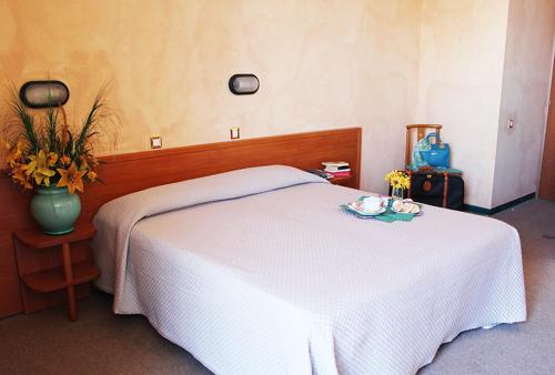 ペーザロにあるHotel Plazaのベッドルーム(白いベッド1台、花瓶付)