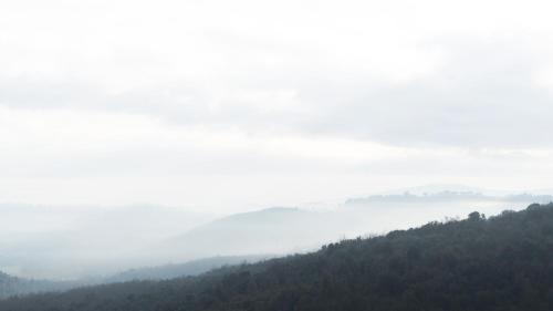 a foggy mountain with trees in the distance at Casa Ollie in Castel San Gimignano