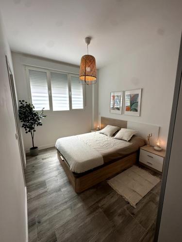 Newly renovated apartment in downtown Madrid