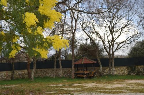 a wooden gazebo in a park with trees at Villaggio Camping Bosco Selva in Alberobello