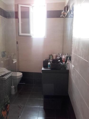 une petite salle de bain avec toilettes et lavabo dans l'établissement Villa la clémente, à Menton