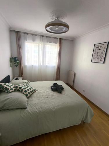Dijon apartment 3 bedrooms private parking