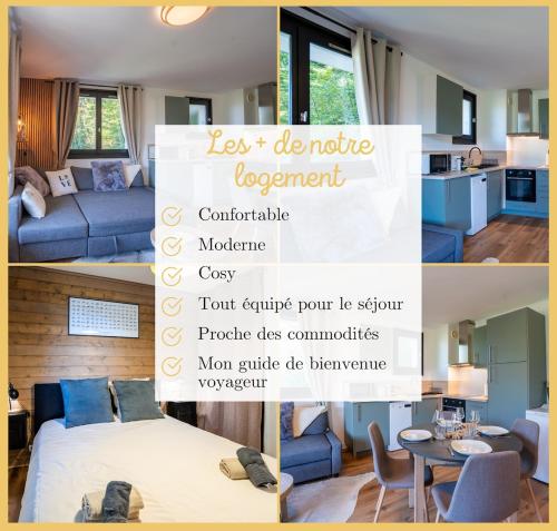 Le Belvedere Alpin I T3 I Morzine