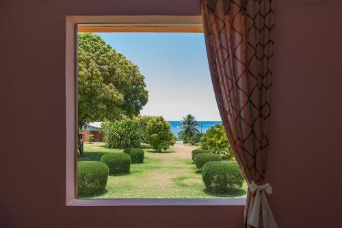 a window view of a garden with bushes and trees at Hotel Nautile in Sainte Marie