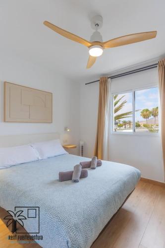 Passion Pool View & WiFi by iRent Fuerteventura