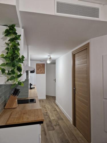CARNOT T2 - Appartement Cannes Proche Palais & Plages 4P