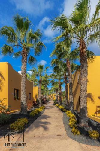 Casa Alisio Papagayo Corralejo iRent Fuerteventura