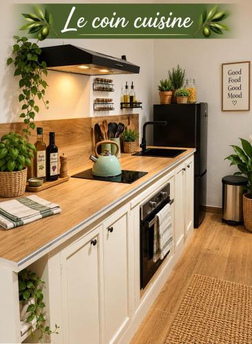 Le Citron Vert Duplex vielle ville a 2 pas de la piétonne