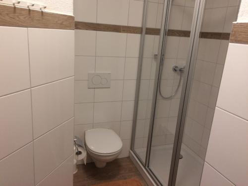 ein Bad mit einem WC und einer Dusche in der Unterkunft Schafhof-Sommerau in Eschau