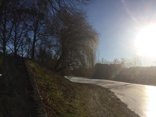 a street with trees on the side of a road at Mini-Ferien-Suite Hildesheim in Hildesheim
