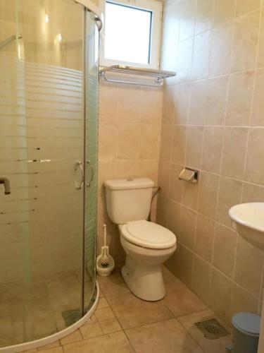 a bathroom with a toilet and a glass shower at Apartments Villa Dadora in Sutomore