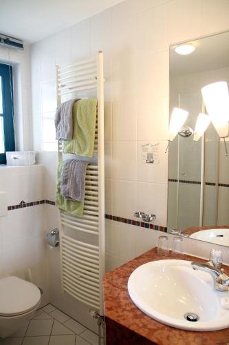 a bathroom with a sink and a toilet and a mirror at Altsächsischer Gasthof Kleines Vorwerk in Sayda