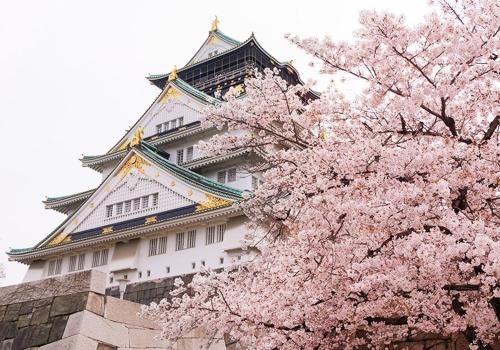 Kasane Stay Osaka