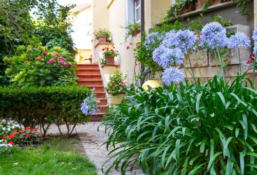 a garden with blue flowers and a building at Calycanto in Tempio Pausania