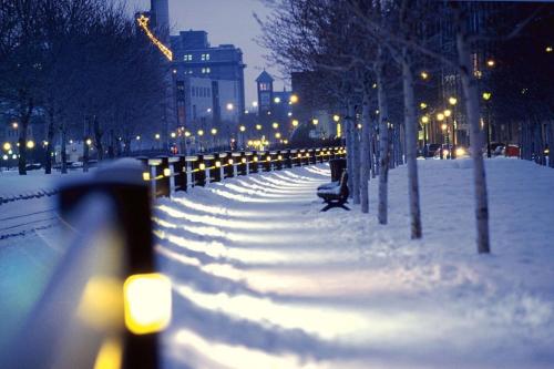 a snow covered park in a city at night at Hotel Faubourg Montreal Centre-Ville Downtown in Montréal