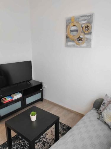 Apartment in Rovinj - Istrien 11491