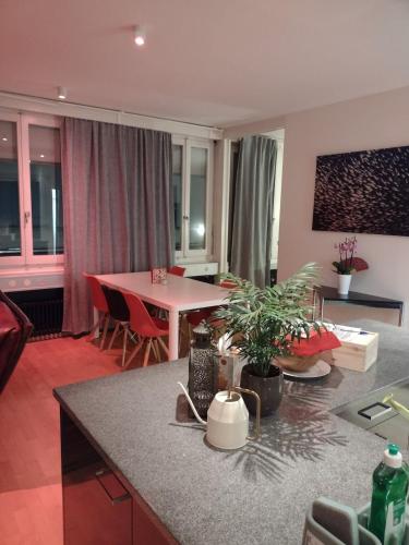 Spacious and bright Loft in downtown Zurich