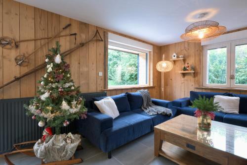 Chalet des Privilèges 12P Spa Sauna Privé & Vue Vosges