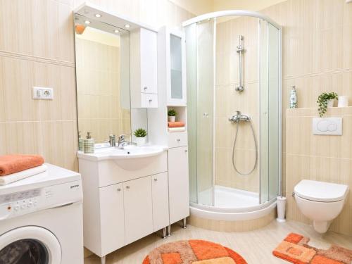 Apartments Radomir