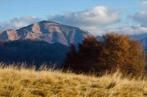 a mountain in the distance with a tree in the foreground at Chata Horec in Liptovské Revúce
