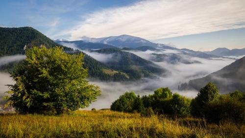 a tree on a field with clouds in the mountains at Chata Horec in Liptovské Revúce