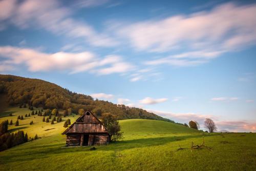 an old barn in a field of green grass at Chata Horec in Liptovské Revúce