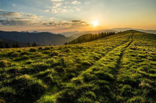a field of grass with the sun in the background at Chata Horec in Liptovské Revúce
