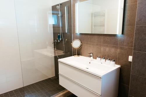 a bathroom with a white sink and a mirror at Aparthotel Heuberger in Rudersdorf