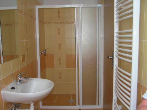 Ванная комната в Penzion U Tomášů