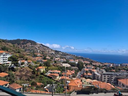 Azenha View